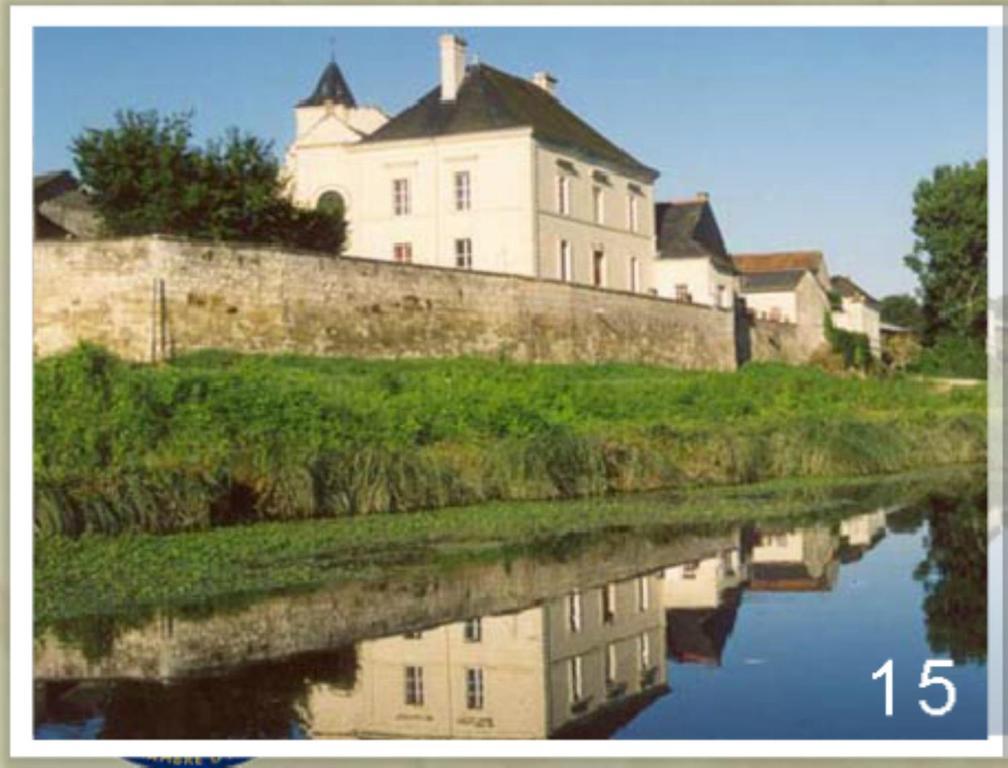 Domaine Du Heron Chinon Exterior foto