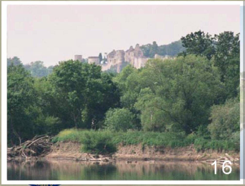 Domaine Du Heron Chinon Exterior foto