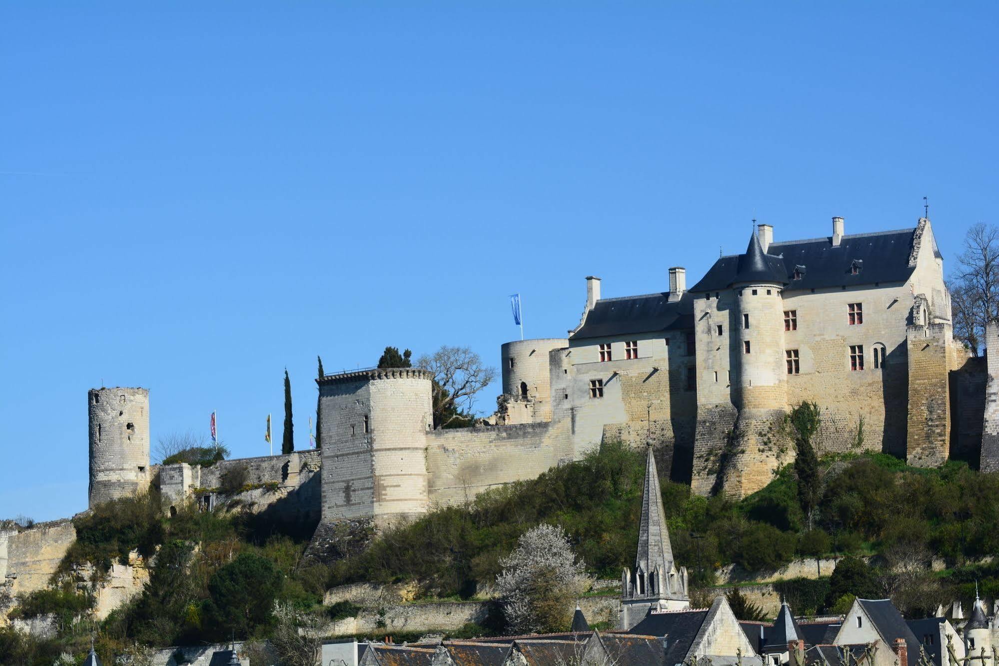 Domaine Du Heron Chinon Exterior foto